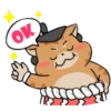 Gato sumo 15