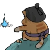Gato sumo 16