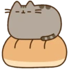 Gato pusheen 19