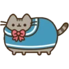 Gato pusheen 20