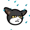 CAT EXPRESSIONS Mov 16
