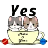 Tiny cats 18