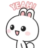 White & Gray Bunnies 21