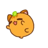Ponkan the orange cat MOV 16