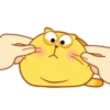 Lovely cats♡ 2Mov 21