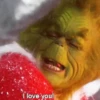 The Grinch 24