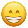 Os emojies 23
