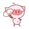 Piggy Pink 16