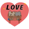 Tiny cats 19