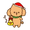 Tory the poodle(Christmas)MOV 23