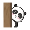 pandas 12