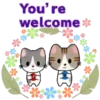 Tiny cats 21