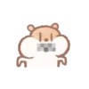 hamster brown 19