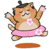 Gato sumo 19