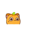 Ponkan the orange cat MOV 17