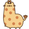 Gato pusheen 22