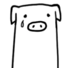 Crazy white pig 13