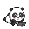 pandas 13