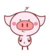 Piggy Pink 17