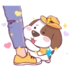 perrito vaquero 15