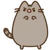 Gato pusheen 24