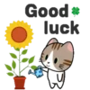 Tiny Cats 2 22