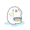 Lovely Seal Hibo 20