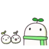RainPomelo 23