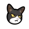 CAT EXPRESSIONS Mov 19