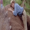 Jurassic park ꨄ︎  MOV 15