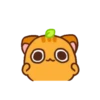 Ponkan the orange cat MOV 19