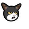 CAT EXPRESSIONS Mov 21
