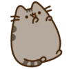 Gato pusheen 28