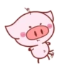 Piggy Pink 18
