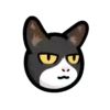 CAT EXPRESSIONS Mov 23