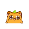 Ponkan the orange cat MOV 23