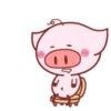 Piggy Pink 19
