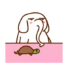 animales cute 28