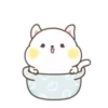 Lovely Seal Hibo 23