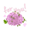 For you love 20