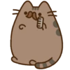 Gato pusheen 29