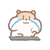 hamster brown 24