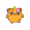 Ponkan the orange cat MOV 24