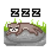 Otter pixel 6