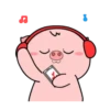 Porquinho 6