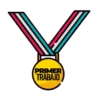 Prêmios, medalhas e comemorações 9