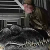 Crushcares (Jurassic Park Edition) 13