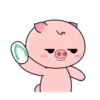 Porquinho 9