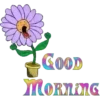 Buenos Días  1 Movi 11