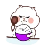 Interesante vida de gato 9